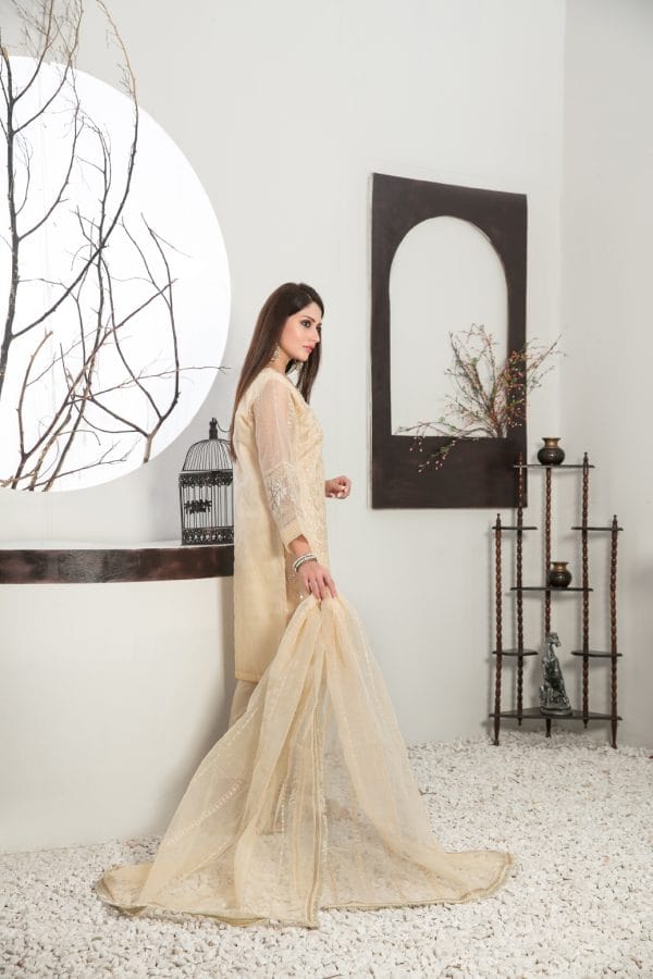 Aysel by Tawakkal 3 piece ready to wear suit D-7563