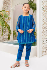 Chiffon Embroidered 2 Pc Suit