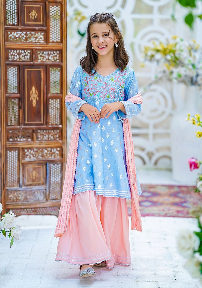 Paper Cotton Embroidered 3 Pc Suit