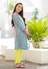 Chambray Cotton Embroidered 2 Pc Suit