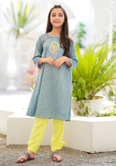 Chambray Cotton Embroidered 2 Pc Suit