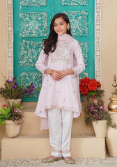Chambray Cotton Embroidered 3 Pc Suit