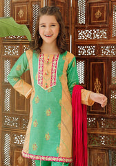 Khaddar Embroidered 3 Pc Suit